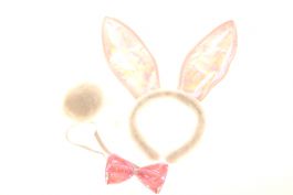 Bunny set