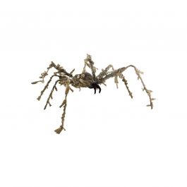 Spider  50cm