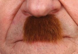 german mustache light brown