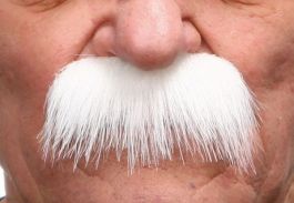 mustache Mustafa white