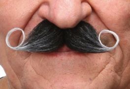 mustache Salvador grey