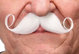 mustache Salvador white