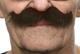 mustache Luigi dark brown