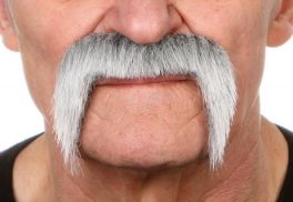 mustache Pedro grey