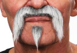 mustache Harley grey