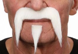 mustache Harley white