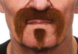 mustache Harley light brown