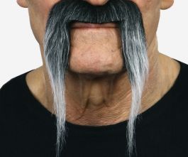 Mustache Willem Grey