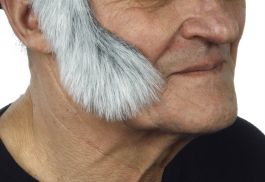 sideburns Elvis grey