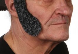sideburns Elvis grey