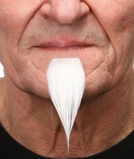 beard Ziggi white