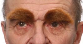 Eyebrows brown