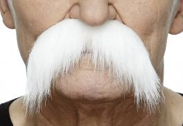 Mustache Wally White