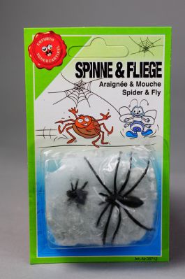 Spiderweb with Spider and fly (on card)