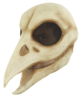 Volledig Hoofdmasker - Raven Skull / One-size