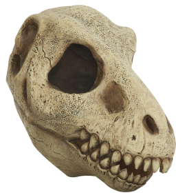 Volledig Hoofdmasker - T Rex skull / One-size