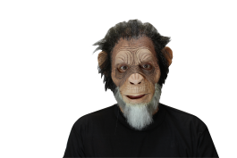 Volledig Hoofdmasker met haar - Old Julius Ape / One-size