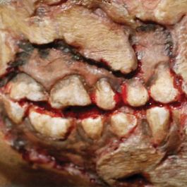Zombie FX Transfers - Zombie Cheek Decay