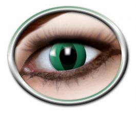 Anaconda Lenses (3 Months)