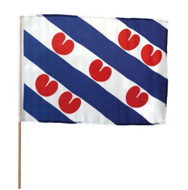 Handflag Friesland 50x70cm