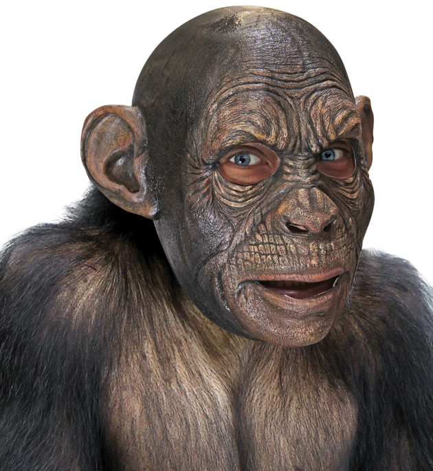 Volledig Hoofdmasker - Blake Ape / One-size
