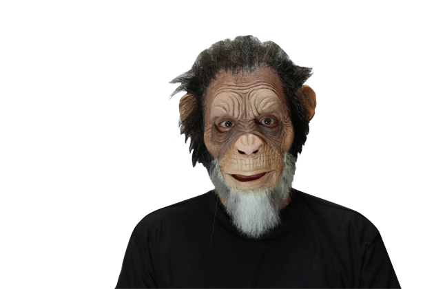 Volledig Hoofdmasker met haar - Old Julius Ape / One-size