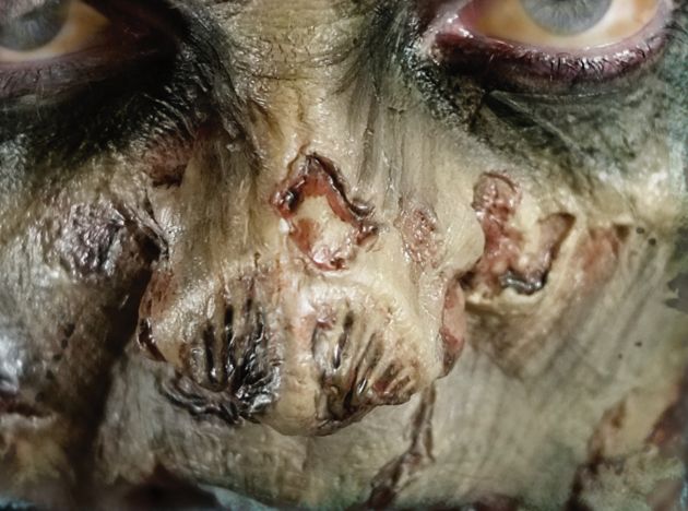 Zombie FX Transfers - Zombie Neus