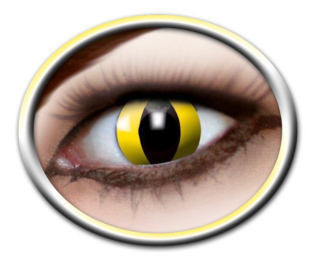 Yellow Cat Lenses (3 Months)