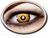 Lion Lenses (3 Months)