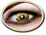  Monster Orange Lenses (1 Week)